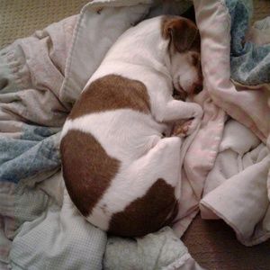 Meet your Posher, Patrice